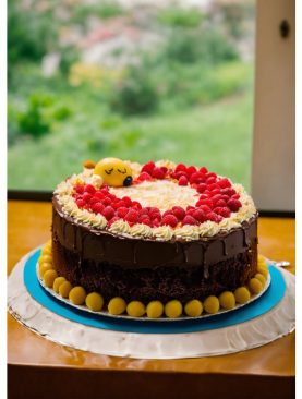 Chocolate Strawberry Cake