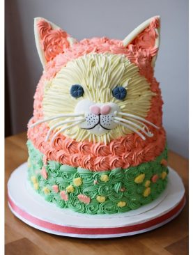 Cat custom cake